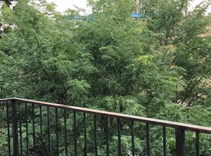 Wicker Park | Wicker Park
