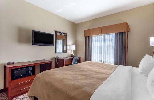 Carbondale Hotel | 30 m² Hotel ∙ 4 guests