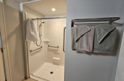 Champaign Apartment | 31 m² Apartment ∙ 1 bedroom ∙ 2 guests