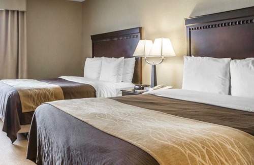 Tinley Park Hotel | Comfort Inn & Suites Near Tinley Park Amphitheater