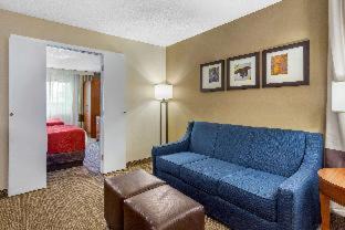 Oakbrook Terrace Hotel | Comfort Suites Oakbrook Terrace near Oakbrook Center