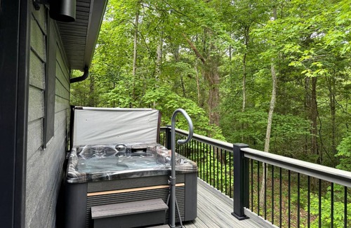 Carbondale House | House ∙ 2 bedrooms ∙ 5 guests