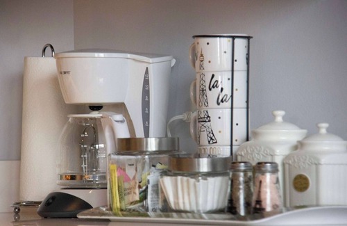 Near South Side Apartment | Luxéry Stay "Paris Themed" Downtown/McCormick/Wintrust Area