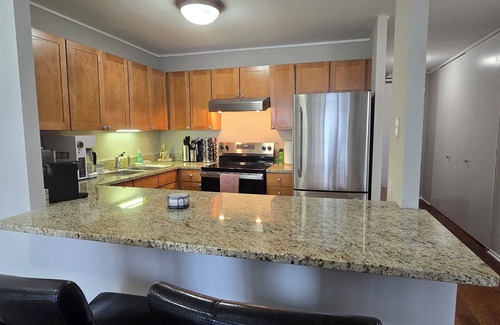 Near North Side Condo | Luxury 1BR Condo – Views, Comfort, & Style