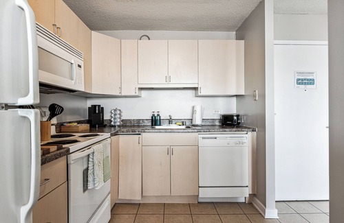 South Loop Condo | MICH AVE #23 2bd/2ba Downtown, Museums w/Views