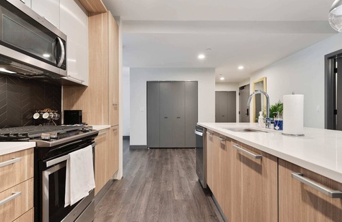 Downtown Chicago Apartment | Two 2BRs Near Millennium Park, Ideal for Groups
