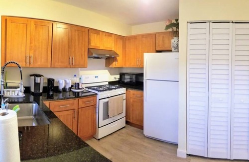 Chinatown House | 1 #23 - 4 Bedroom Condo - McCormick Place, Wintrust Arena, Chinatown
