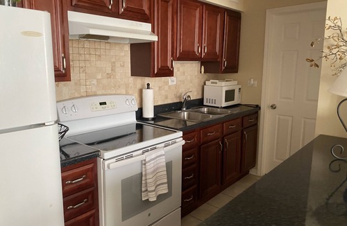 Rosemont Condo | 10 min walk to Stevenson Convention Center