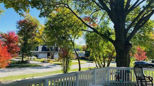 Naperville Bed & Breakfast | 14 m² Bed and breakfast ∙ 1 bedroom ∙ 2 guests