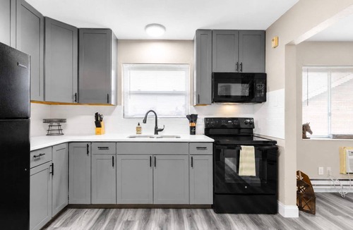 Tower Grove South Apartment | 1BR + Full Kitchen · Tower Grove · 3 mi SSM SLU · Pet-Friendly