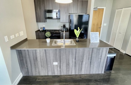 Near South Side Apartment | 2BED+2BATH Penthouse In South Loop Chicago