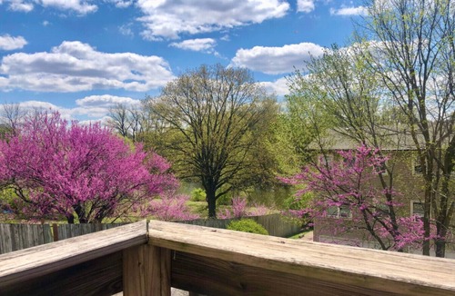 Yorkville Apartment | 2BR Downtown Yorkville Apt by Fox River