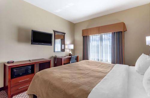 Carbondale Hotel | 30 m² Hotel ∙ 4 guests