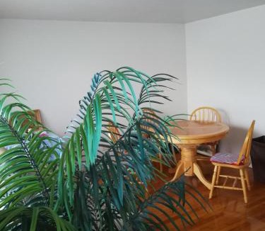 Englewood House | 320 Happy Home