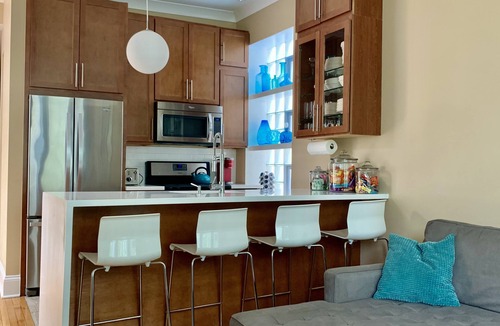 Near West Side Apartment | 3F Vintage Graystone in Little Italy near loop UIC United Ct & McCormick Place
