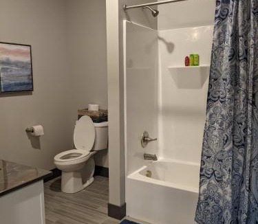 Champaign Apartment | 520 Neil Heart of Downtown Champaign