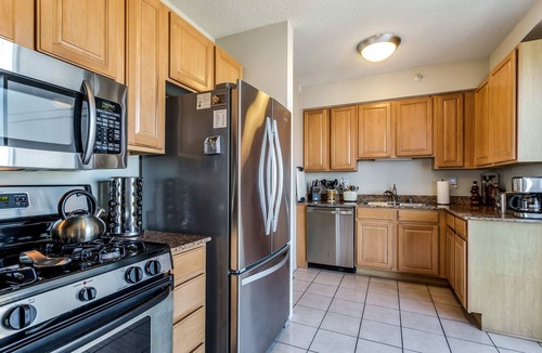 Downtown Chicago Apartment | 55-56 Mag Mile Penthouse