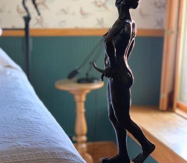 Galena Bed & Breakfast | Abe's Spring Street Guest House