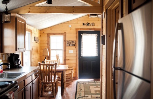 Fort Gay Cabin | Amish-Built Log Cabin with Private Ravine Views
