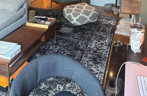 University Village / Little Italy Condo | Beautiful Private Backyard Condo in Chicago
