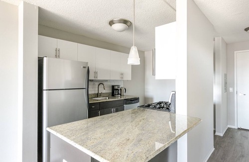 West Loop Apartment | Blueground | West Loop, gym & bbq, nr Willis Tower