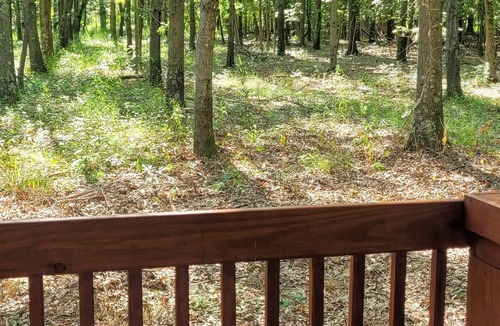 Bluford Cabin | Brand New Cabin conveniently located near Hwy 15, I-64, and I-57