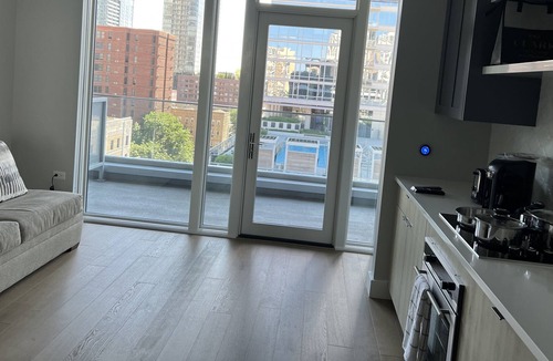 Rush and Division Apartment | Brand New Modern Gold Coast Studio Steps away from the redline! HUGE Balcony!