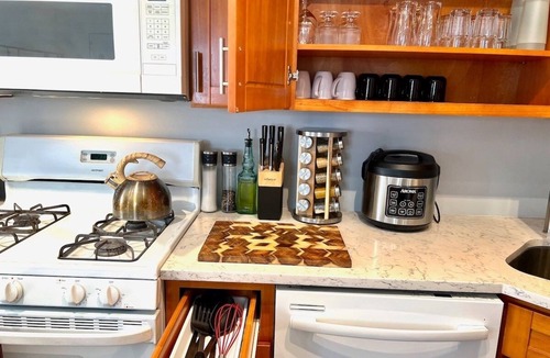 Bridgeport Apartment | Bridgeport Place -free parking, McCormick-Sox Park