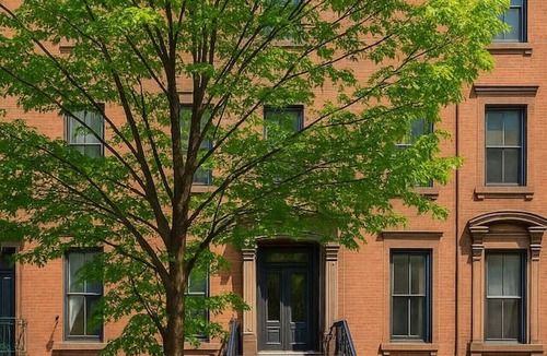 Downtown Condo | Bright Downtown Studio near Yale & East Rock!