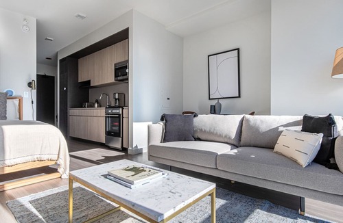 South Loop Apartment | Bright South Loop Studio w/Pool, Gym, walk to Grant Park, by Blueground (ID #CHI347)