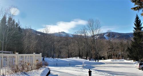 Killington House | Centrally located two bedroom two bathroom Ski home Whiffletree I6