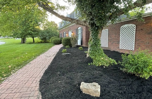 Carbondale House | Charming Brick House in Quiet Carbondale Neighborhood
