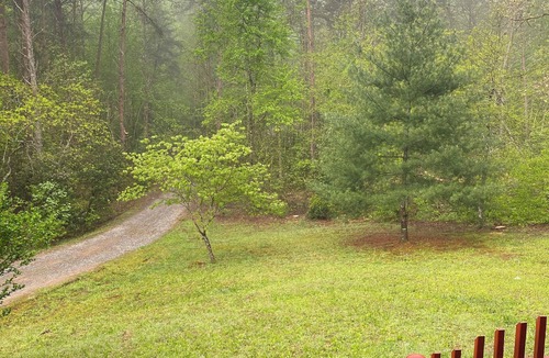 Copperhill Cabin | Charming Peaceful 2-bedroom cabin in Copperhill with WiFi and AC