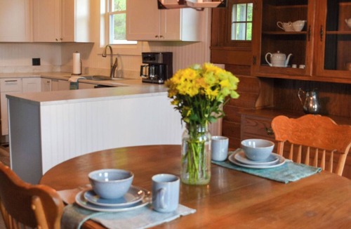 Unionville Cabin | Cheerful Cozy Retreat - 3 BR - Newly Renovated
