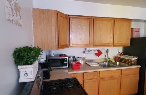 Old Irving Park Apartment | Chic, Cozy home, by Blue Line Train Stop + Free parking