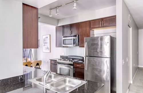 Downtown Chicago Apartment | Chic Loop 1BR w/Pool & Dog Run, near Chicago Riverwalk, by Blueground