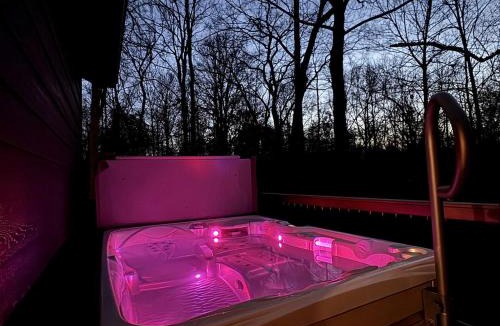 Carbondale House | Chic Modern Cabin with Jacuzzi Ideal for Couples in Carbondale, Illinois