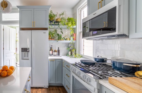 Andersonville House | Classic Chicago 2 Flat transformed into a Parisian plant lovers paradise