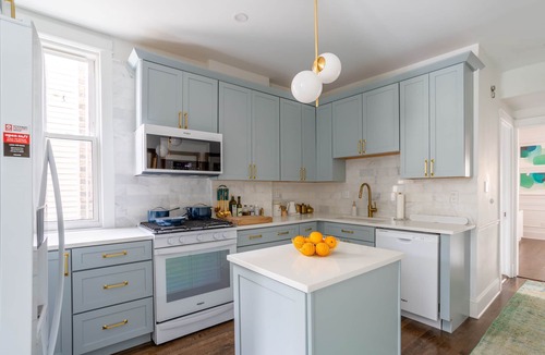 Andersonville House | Classic Chicago 2 Flat transformed into a Parisian plant lovers paradise