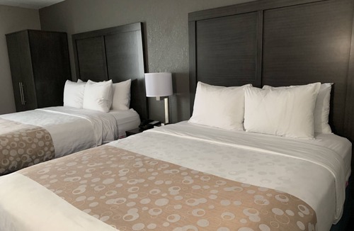 Schaumburg Hotel | Comfort Inn Chicago Schaumburg - O'Hare Airport