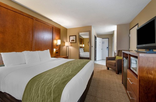 Romeoville Hotel | Comfort Inn Romeoville - Bolingbrook