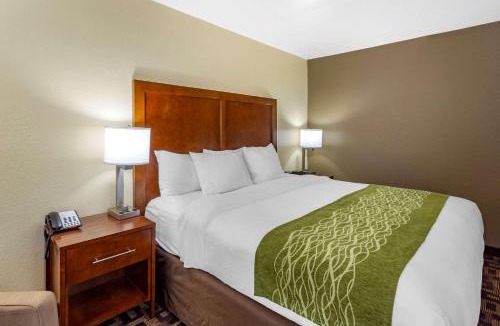 Aurora Hotel | Comfort Inn & Suites North Aurora - Naperville
