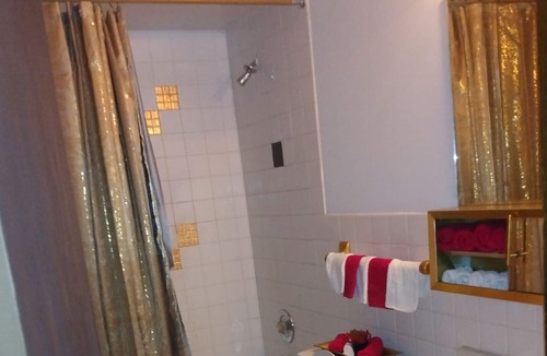 Lansing Condo | Comfortable vibrant condo. 15 minutes to Chicago