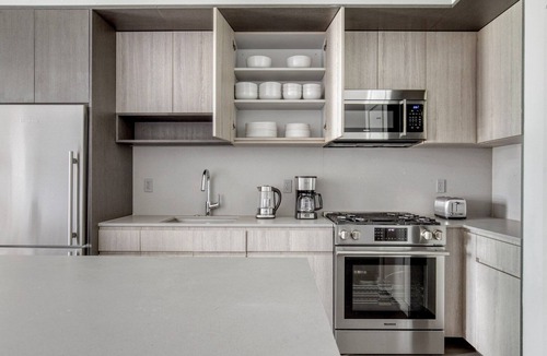 South Loop Apartment | Cool South Loop 2BR w/Pool, Gym & Sports, nr Grant Park, by Blueground