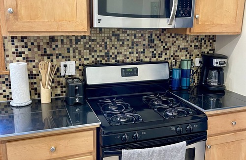 Lower West Side Apartment | Cozy 2BR haus inn Pilsen with patio and fire pit 🔥