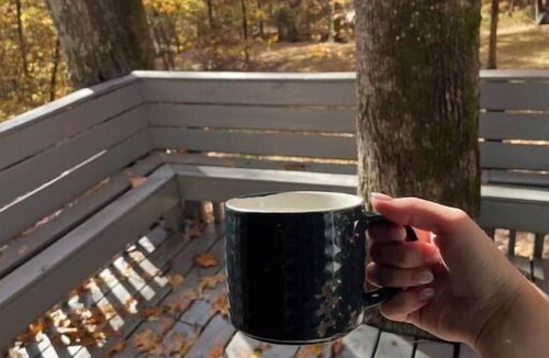 Carbondale Apartment | Cozy Cabins in the woods.