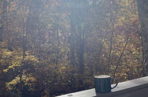 Carbondale Apartment | Cozy Cabins in the woods.
