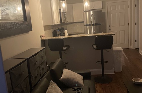 Heart of Chicago Apartment | Cozy Pilsen Apartment