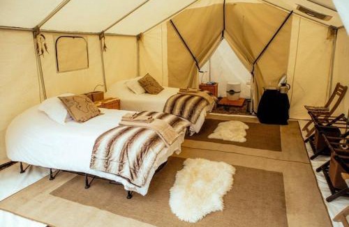 Clarkston Other | COZYYTENT