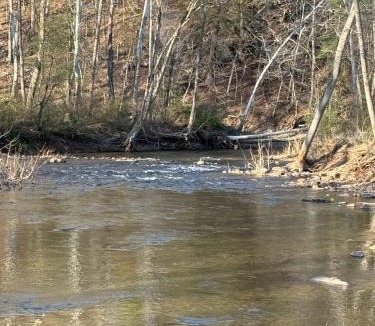 Berkeley Springs House | Creekside Mariposa Cottage - Hot Tub & Fire Pit